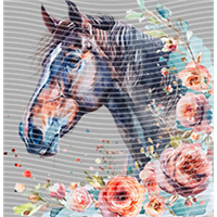 Animal Integration-DW 411